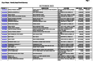 Icon of Monthly Permit Summary - 10 Oct 2023